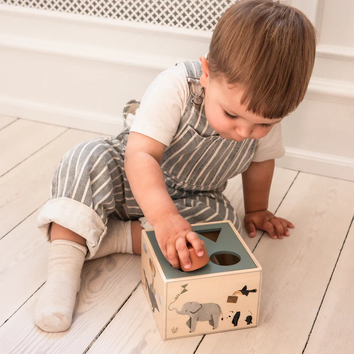 Sebra muotojen lajittelulaatikko puusta, World of Sebra