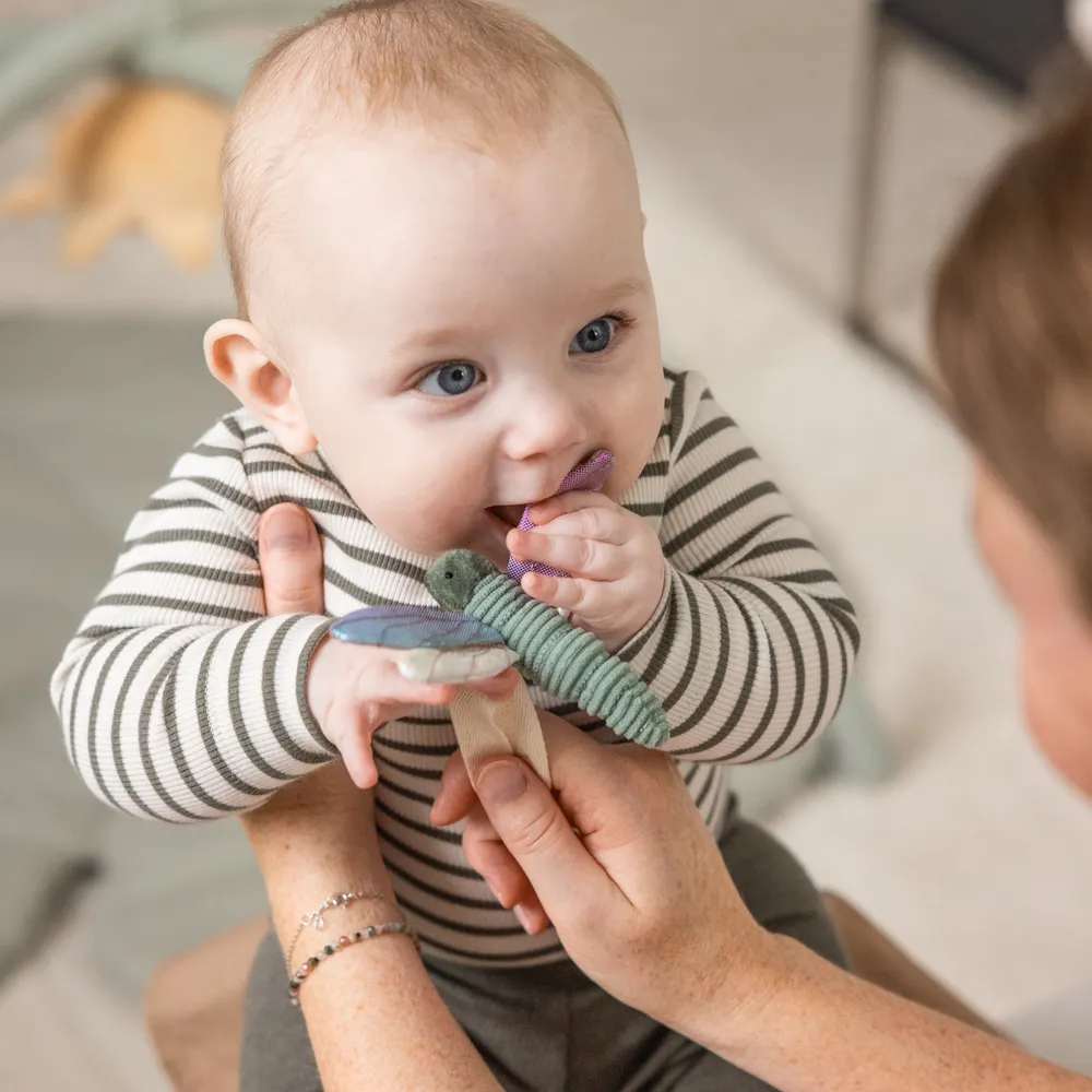 Sebra Aktiviteettilelut 3 kpl kukka/sudenkorento/joutsen