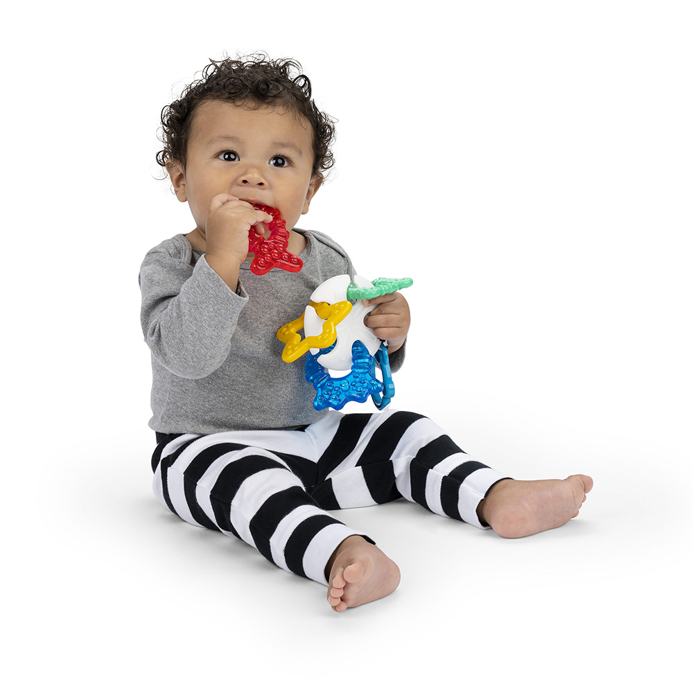 Baby Einstein valtameriteema