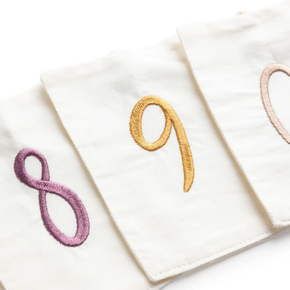 Sebra syntymäpäiväviiri