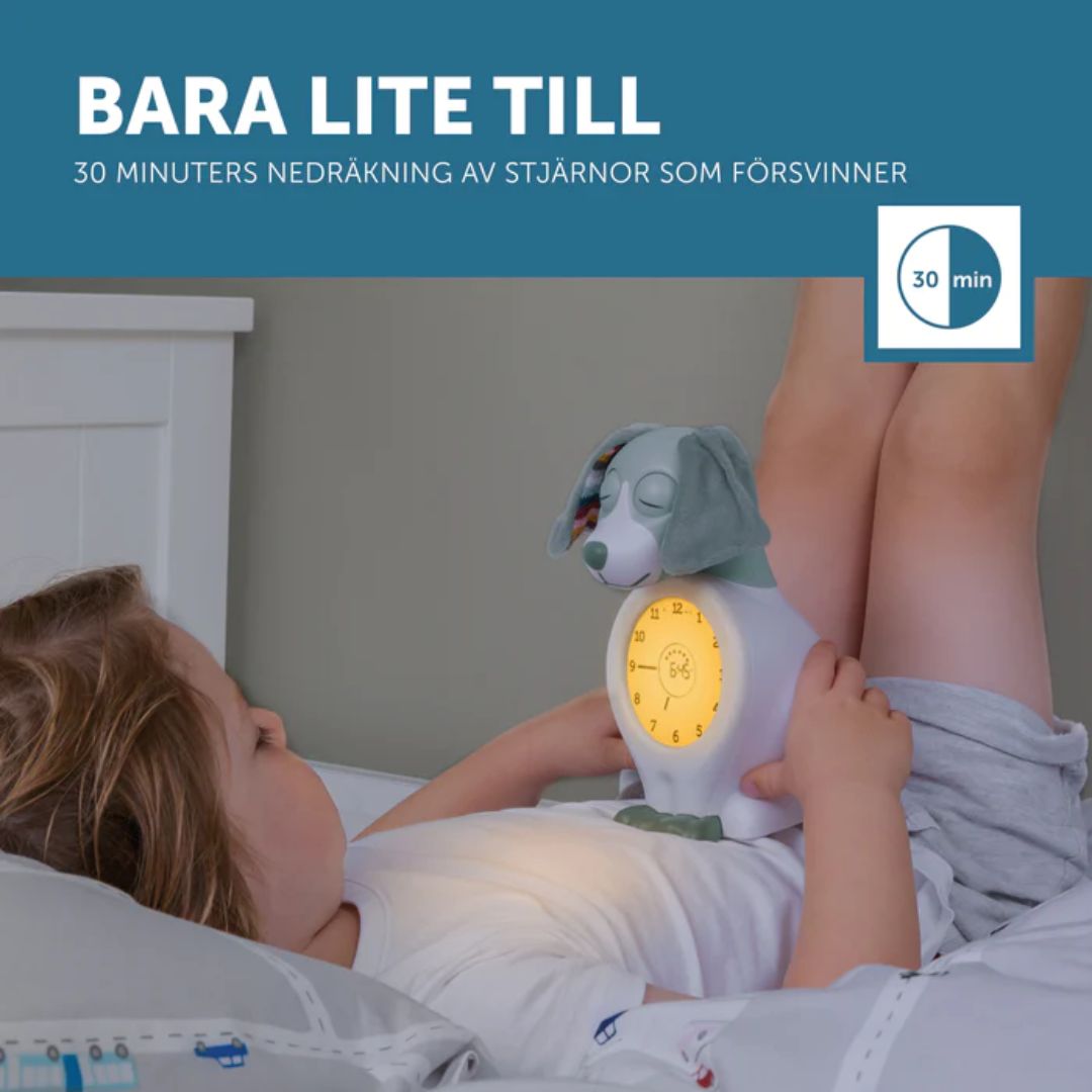 Zazu sleep trainer yövalo Davy koira Sininen
