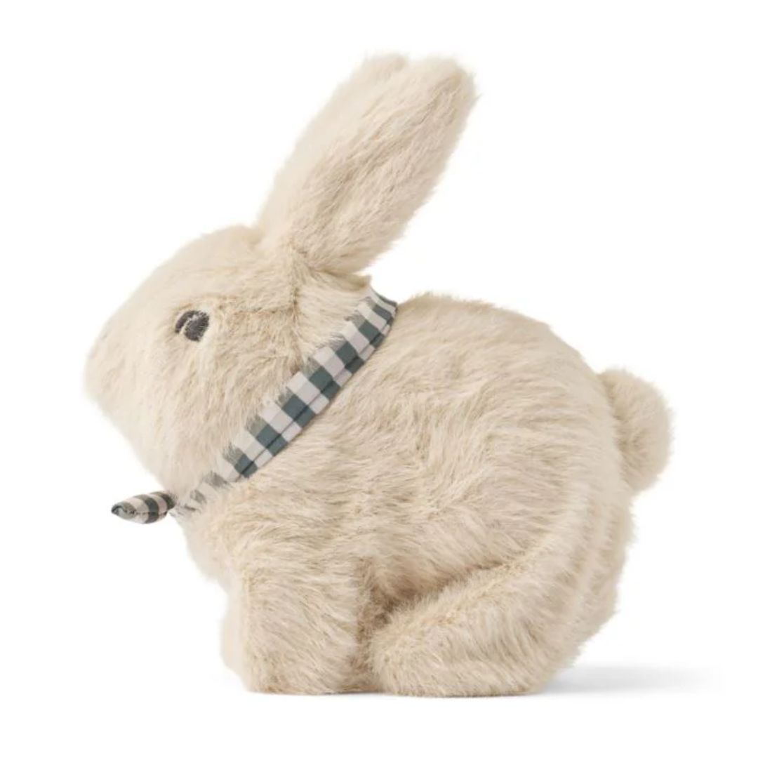 Suloinen kävelevä kani