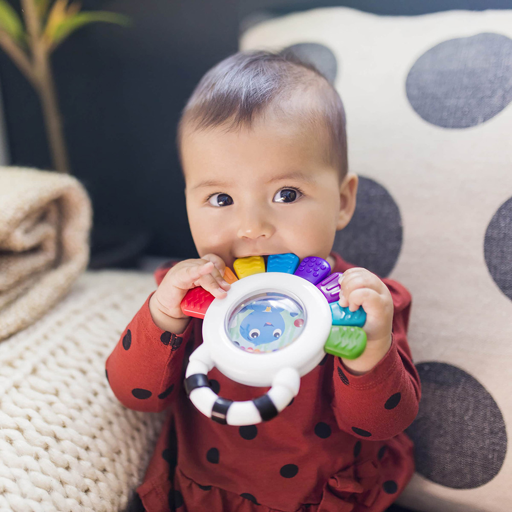 Baby Einstein Octopus 2 in 1 helistin/pururengas