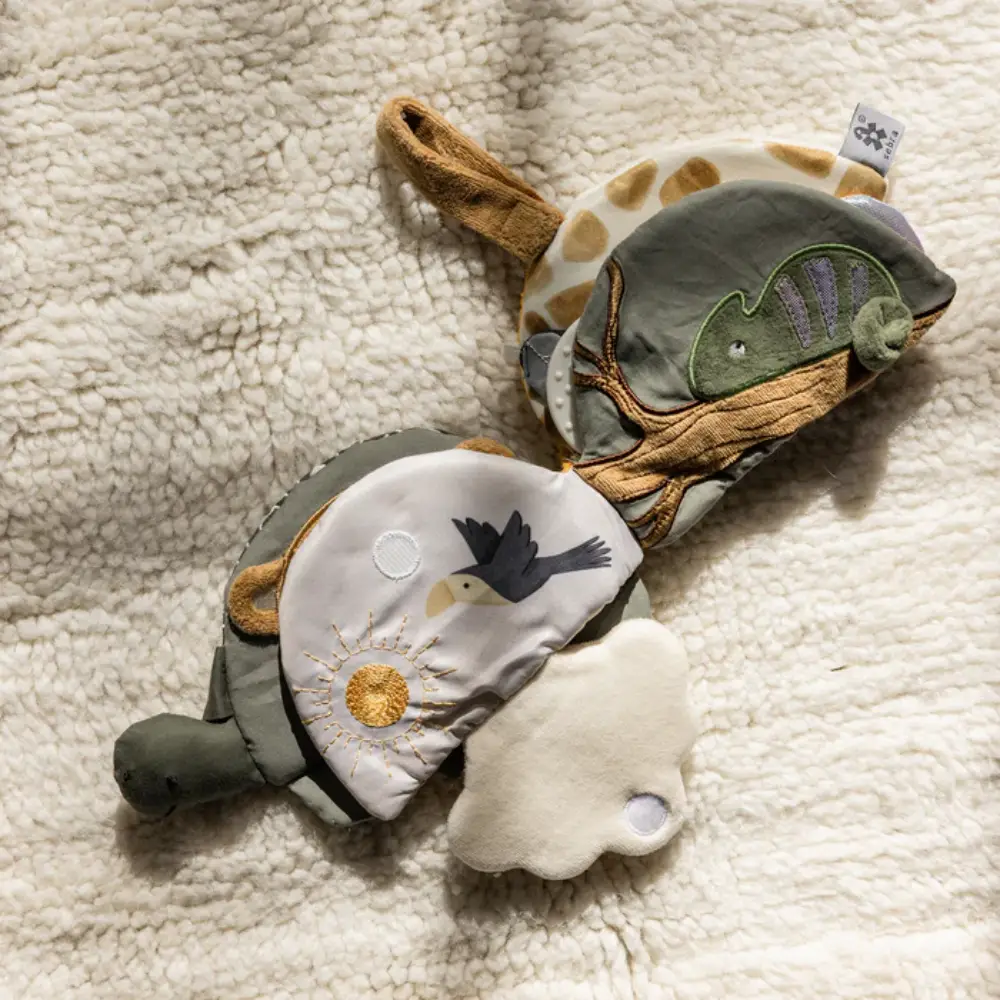 Sebra aktiviteettikirja Turbo the Turtle