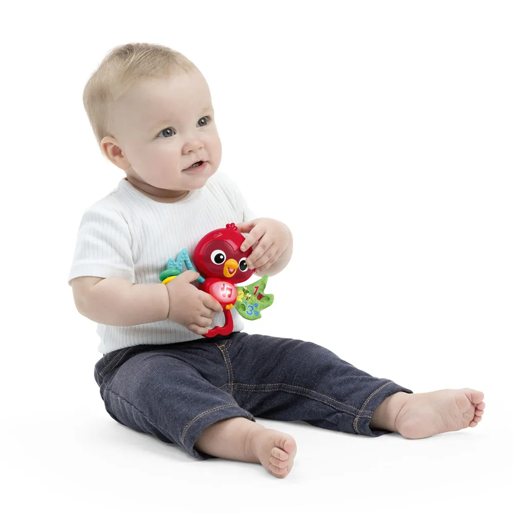 Baby Einstein Roxy's Bright Flight Soittolelu