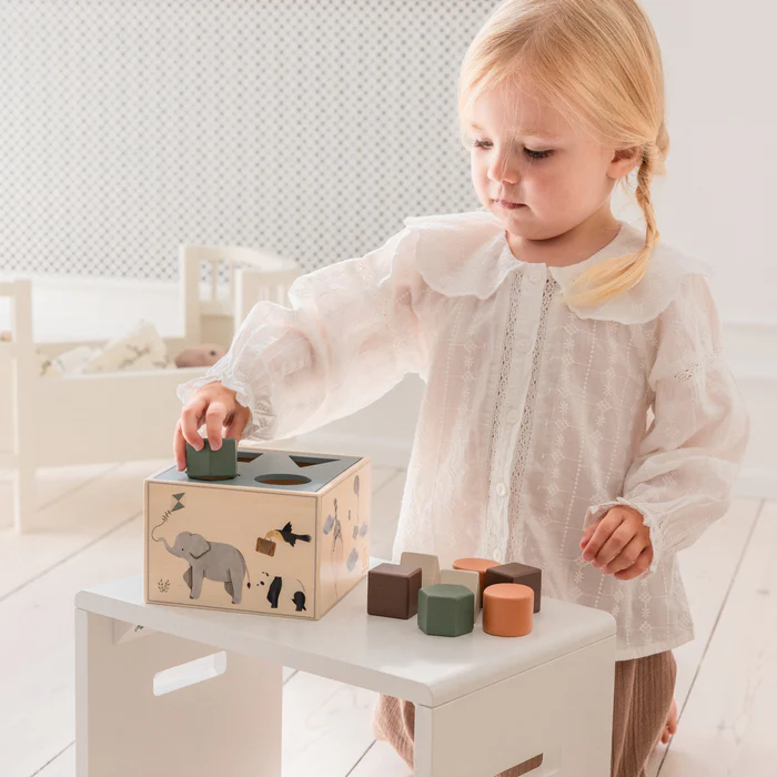 Sebra muotojen lajittelulaatikko puusta, World of Sebra