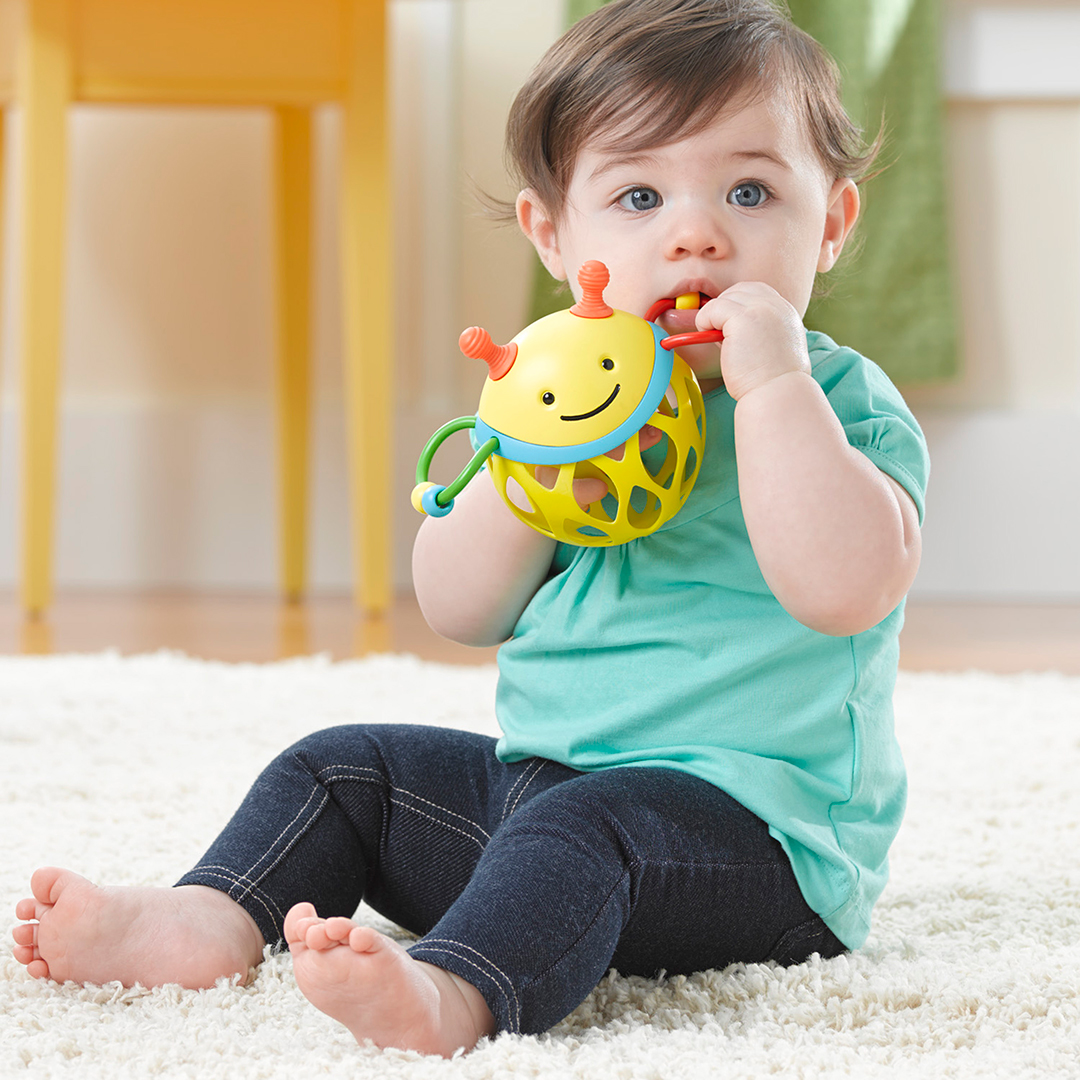 Skip Hop Explore&More Roller rattle Bi