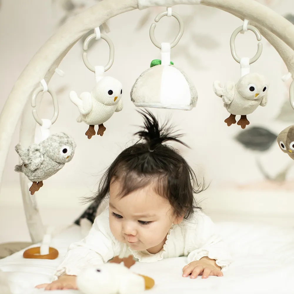 Right Start Pöllöt Baby Gym