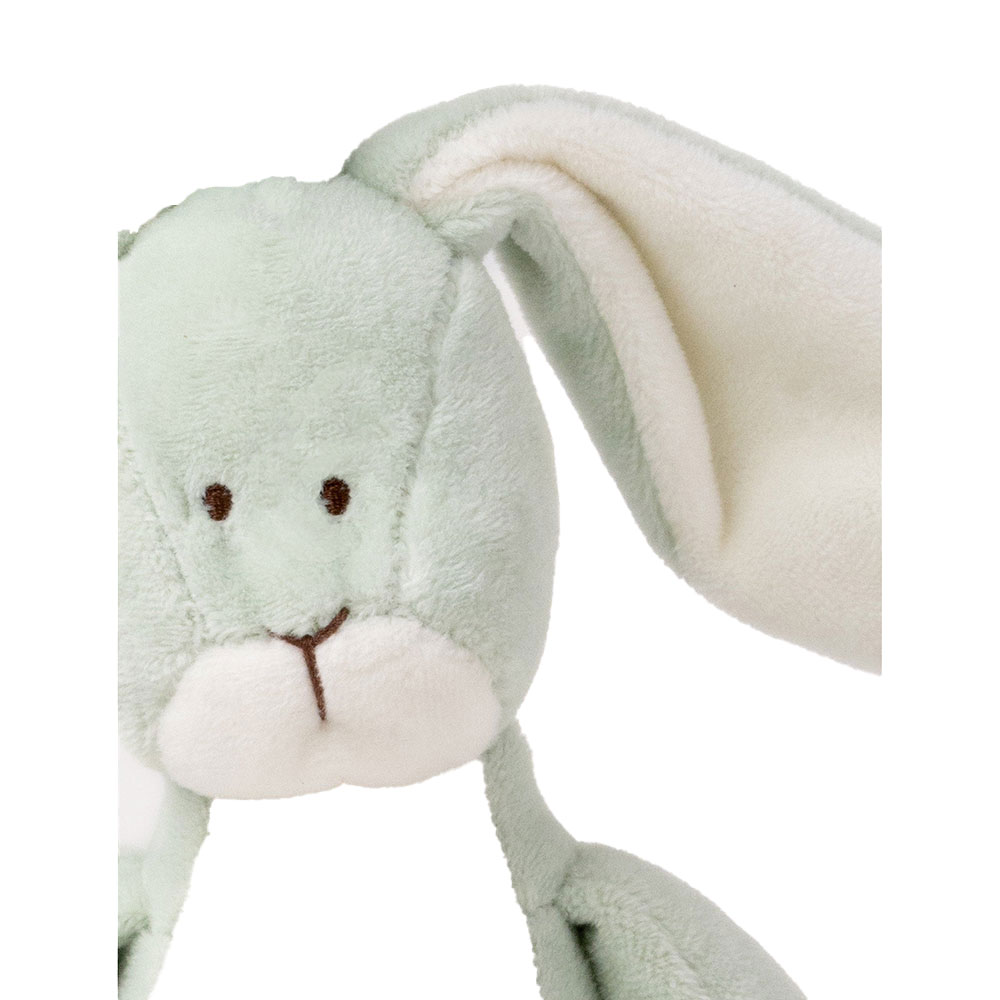 Teddykompaniet Diinglisar Soittorasia Kani Lehmuksenvihreä