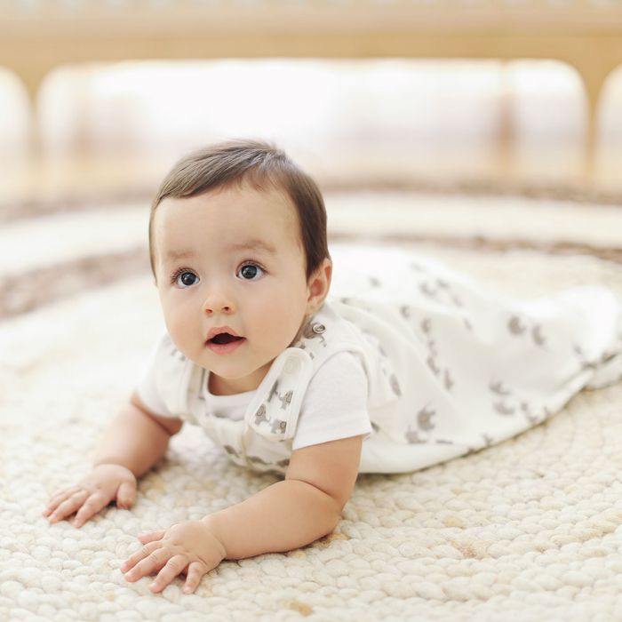 Ergobaby makuupussi Elefantti 6-18M TOG 1.0