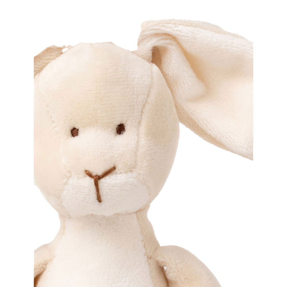 Teddykompaniet Diinglisar Soittorasia Kani