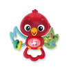 Baby Einstein Roxy's Bright Flight Soittolelu