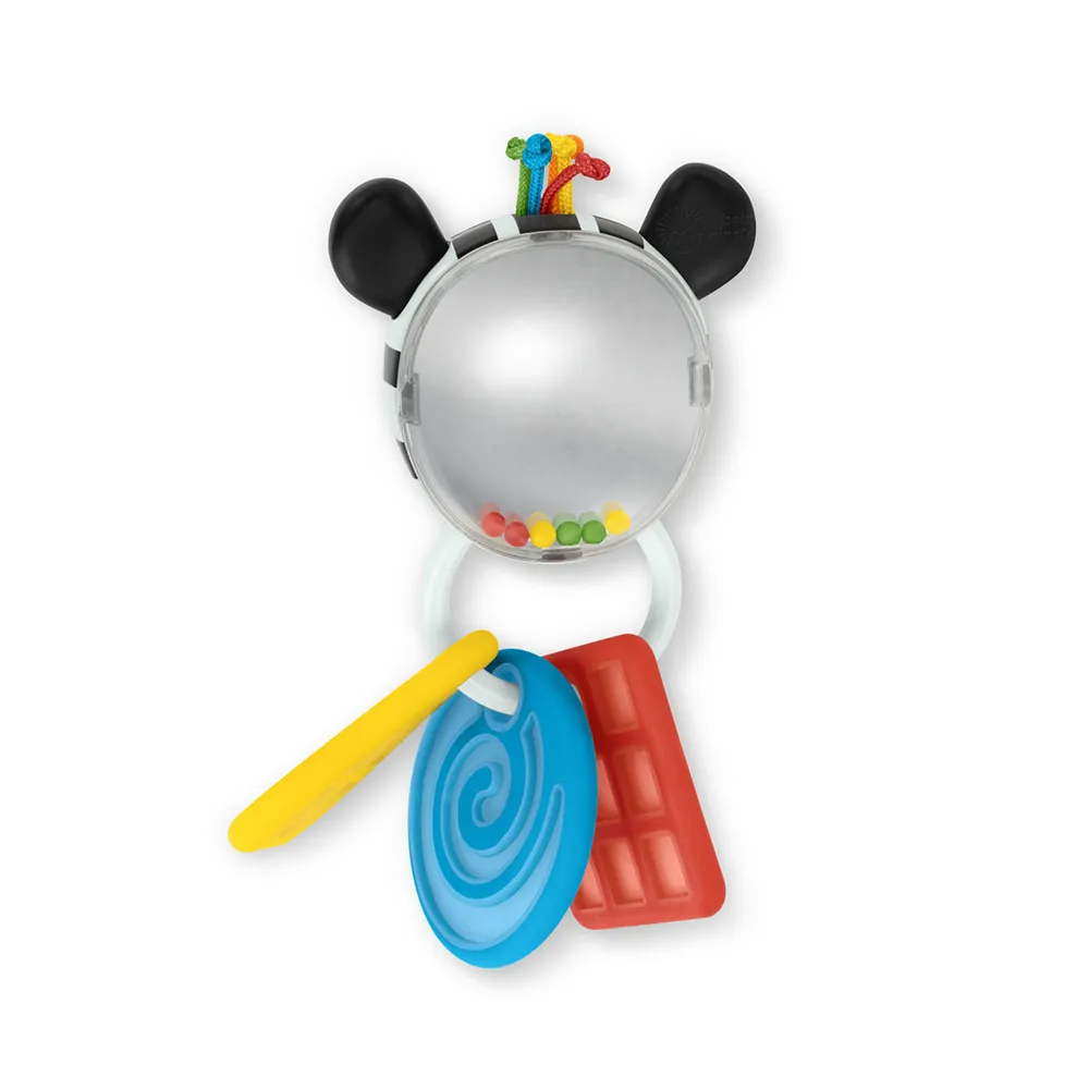 Baby Einstein Shake-a-Shape Zen
