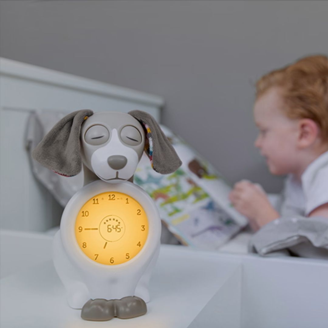 Zazu sleep trainer yövalo Davy koira taupe
