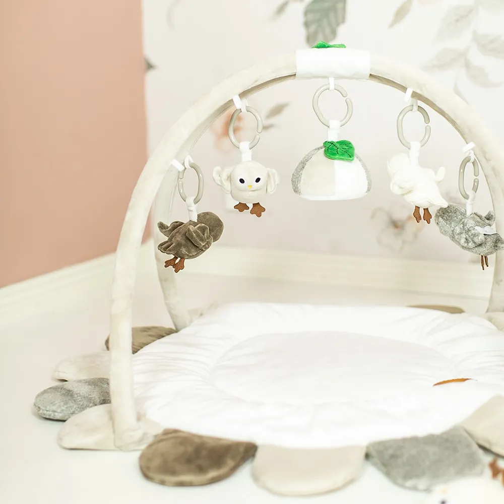 Right Start Pöllöt Baby Gym