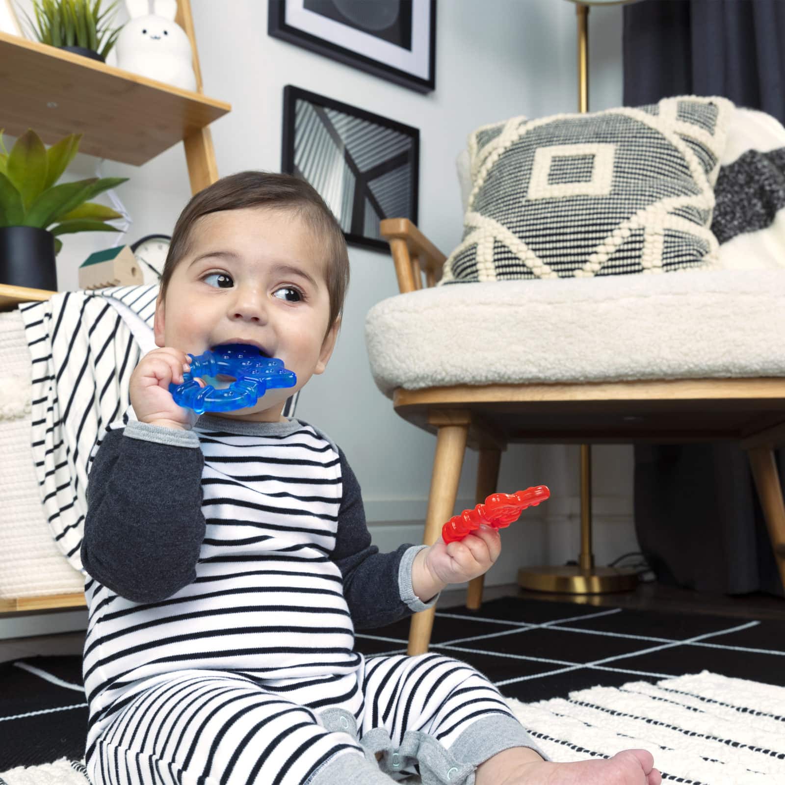 Baby Einstein Cool Critters Teether-lelusarja