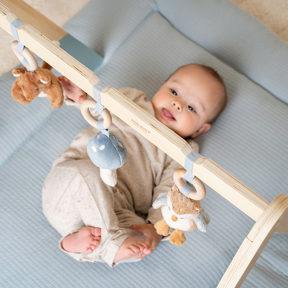 Little Dutch Babygym Forest Friends