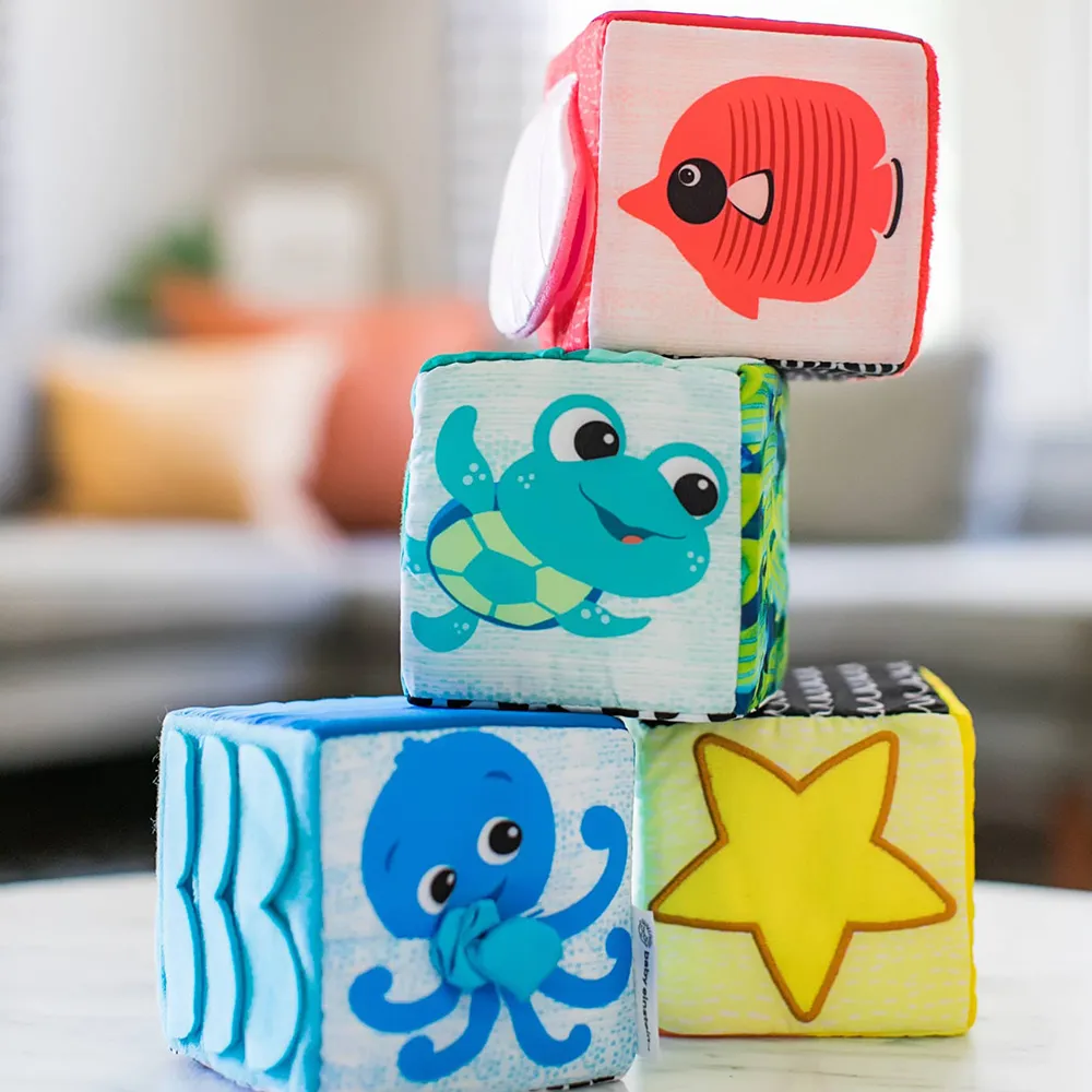 Baby Einstein Explorer & discover soft blocks