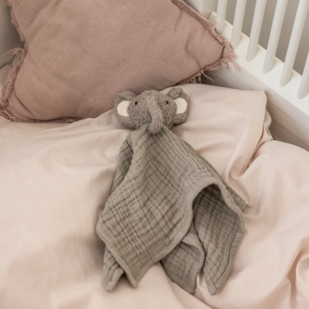 Sebra uniriepu Finley norsu