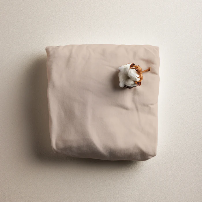 Sebra juniorin jersey-lakana, beige