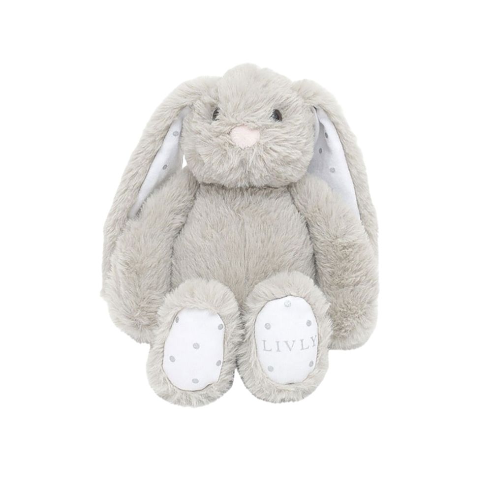 Livly vastasyntyneen paketti sininen