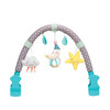 Taf Toys Mini Moon Arch