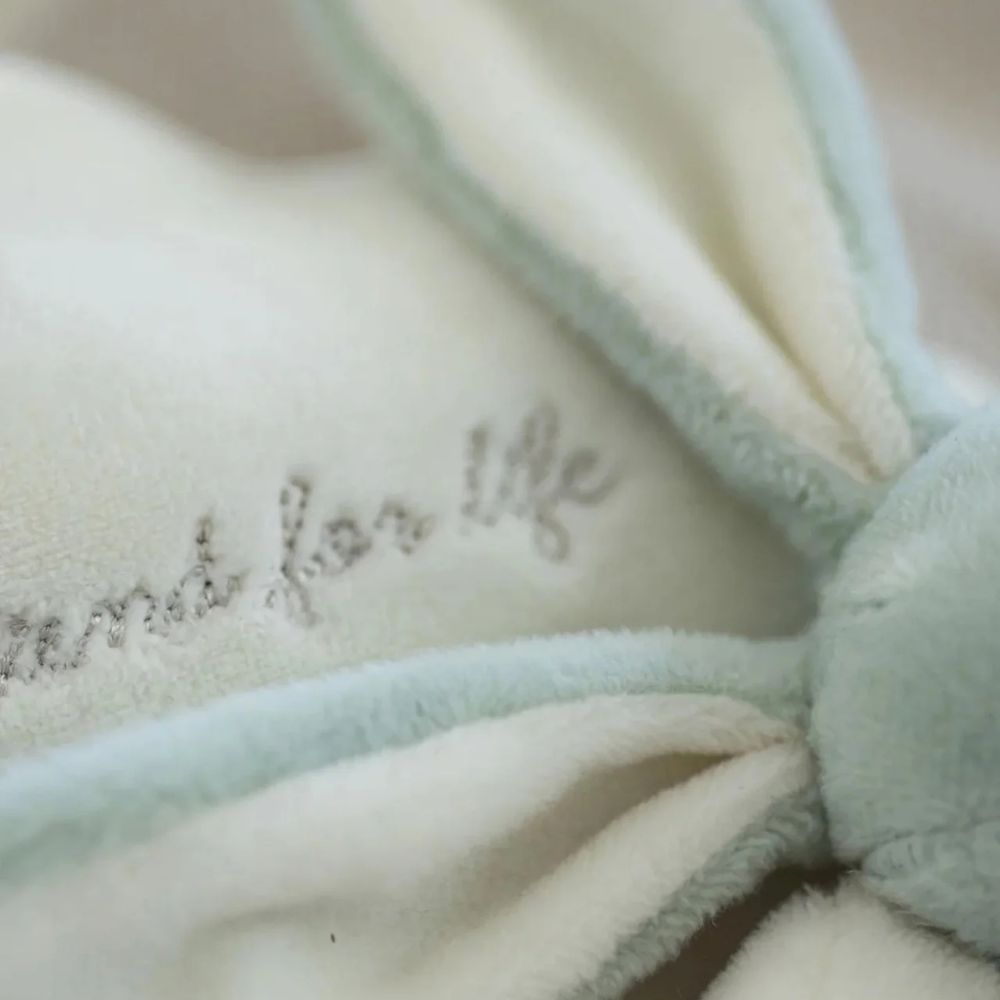 Teddykompaniet Diinglisar Soittorasia Pilvi Kani Lehmuksenvihreä