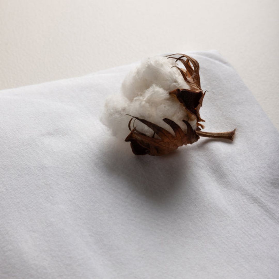 Sebra lakana Jersey Junior & Grow Valkoinen