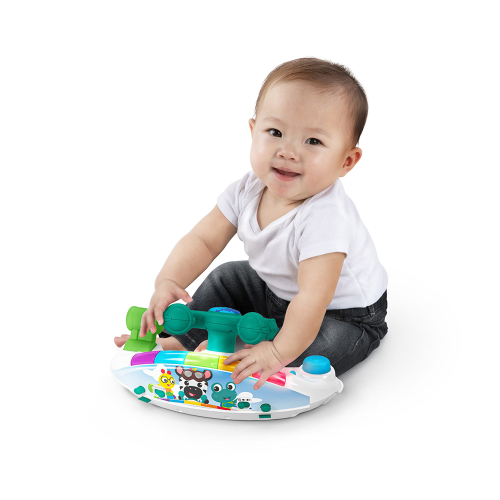  Baby Einstein 2 in 1 Jumping Swing
